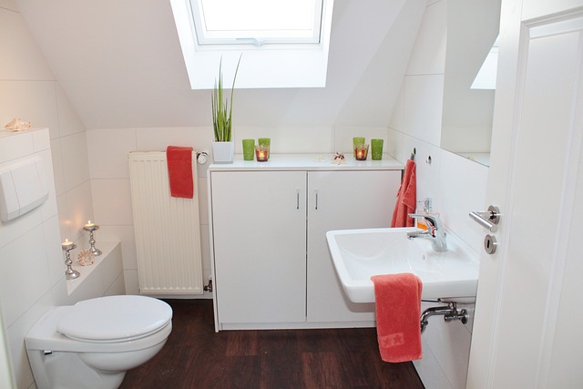 Het gemak van een draagbaar toilet: Een praktische oplossing voor onderweg