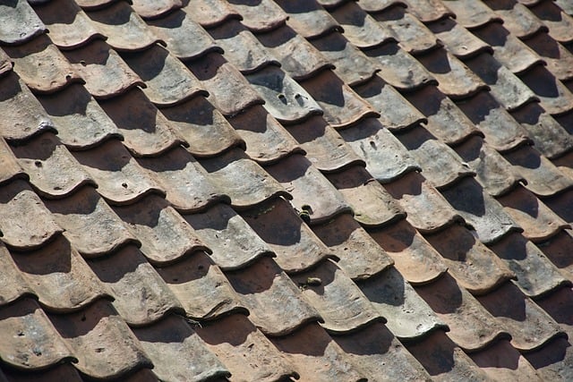 Dak vernieuwen: van planning tot perfectie